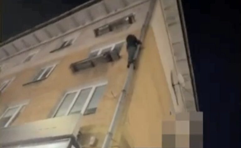 Похититель денег из&nbsp;клиники на&nbsp;Леонова пытался уйти от&nbsp;полиции по&nbsp;водосточной трубе