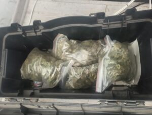 Нарколаборатория с плантацией конопли и схрон с патронами и взрывчаткой: в Калининграде задержали двух дилеров Нарколаборатория с плантацией конопли и схрон с патронами и взрывчаткой: в Калининграде задержали двух дилеров