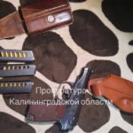 Калининградец устроил стрельбу во&nbsp;дворе жилого дома на&nbsp;Портовой &mdash; дело передано в&nbsp;суд