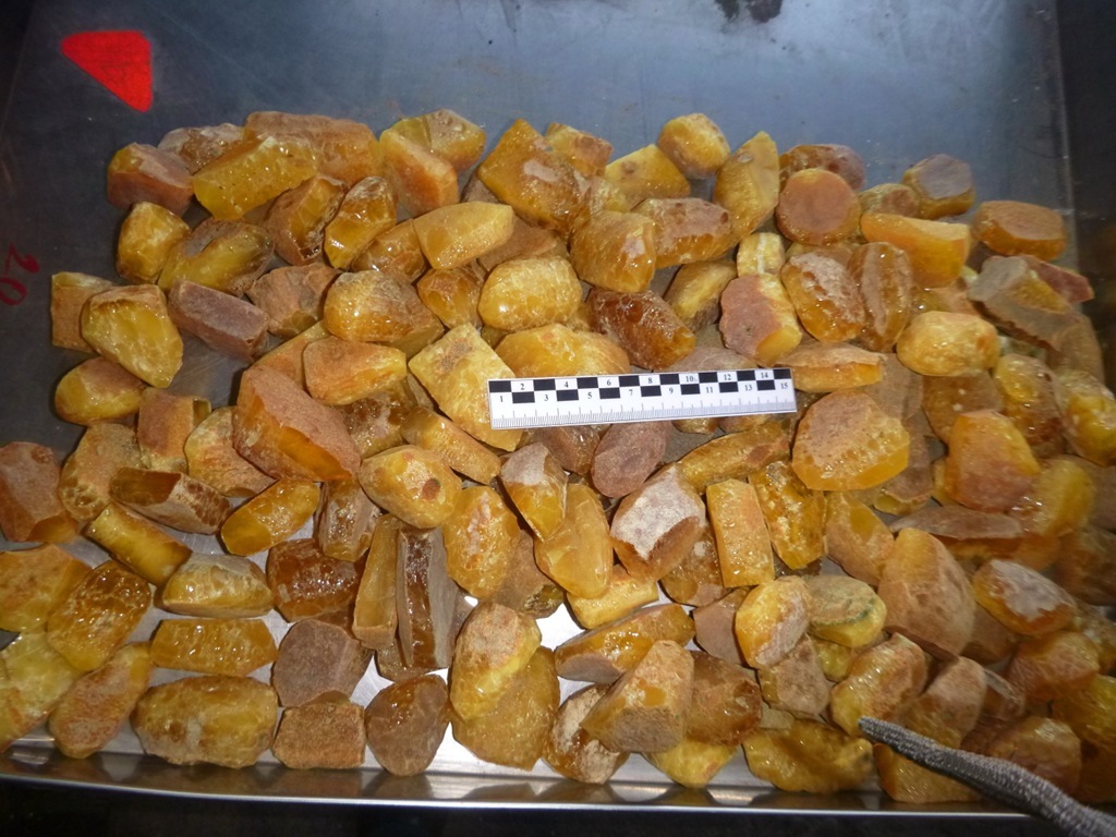 Полиция пресекла незаконную добычу янтаря тремя мужчинами у&nbsp;посёлка Синявино