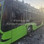 В&nbsp;Калининграде сгорел троллейбус, Беспрозванных ищет виновных