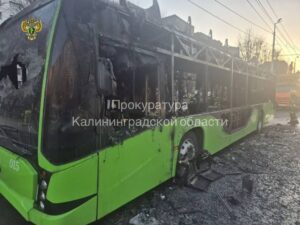 В&nbsp;Калининграде сгорел троллейбус, Беспрозванных ищет виновных