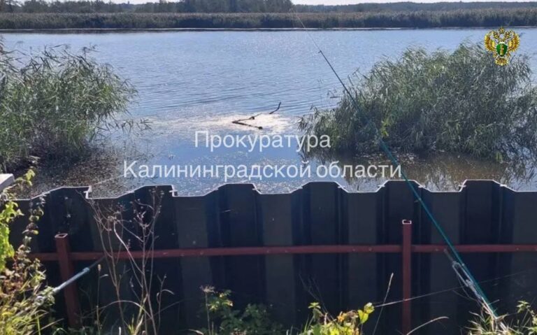 В&nbsp;Гурьевском районе вернули государству участок на&nbsp;берегу Преголи