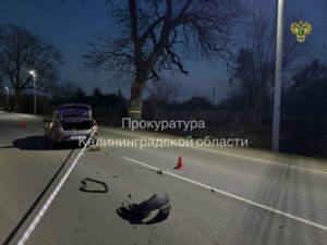 На&nbsp;водителя Kia, насмерть сбившего двухлетнего ребёнка в&nbsp;Железнодорожном, завели уголовное дело