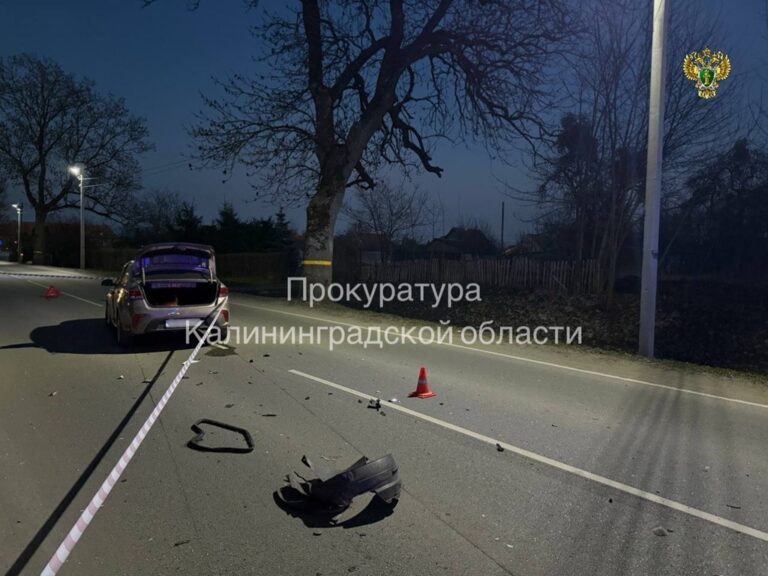 На&nbsp;водителя Kia, насмерть сбившего двухлетнего ребёнка в&nbsp;Железнодорожном, завели уголовное дело