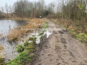 В&nbsp;Озерском районе плотина в&nbsp;поселке Валдайское находится в&nbsp;предаварийном состоянии &mdash; прокуратура подала иск