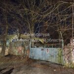 В&nbsp;Мамоново подросток залез на&nbsp;опору трансформаторной подстанции и&nbsp;погиб от&nbsp;удара током