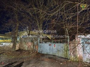 В&nbsp;Мамоново подросток залез на&nbsp;опору трансформаторной подстанции и&nbsp;погиб от&nbsp;удара током