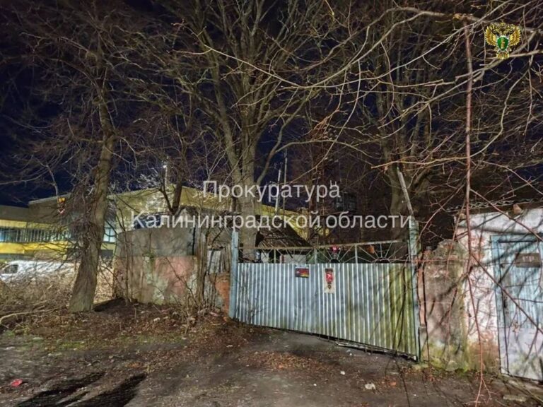 В&nbsp;Мамоново подросток залез на&nbsp;опору трансформаторной подстанции и&nbsp;погиб от&nbsp;удара током