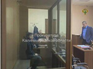 В Калининграде отправлен в СИЗО участник организованной преступной группы, обвиняемый в мошенничестве В Калининграде отправлен в СИЗО участник организованной преступной группы, обвиняемый в мошенничестве
