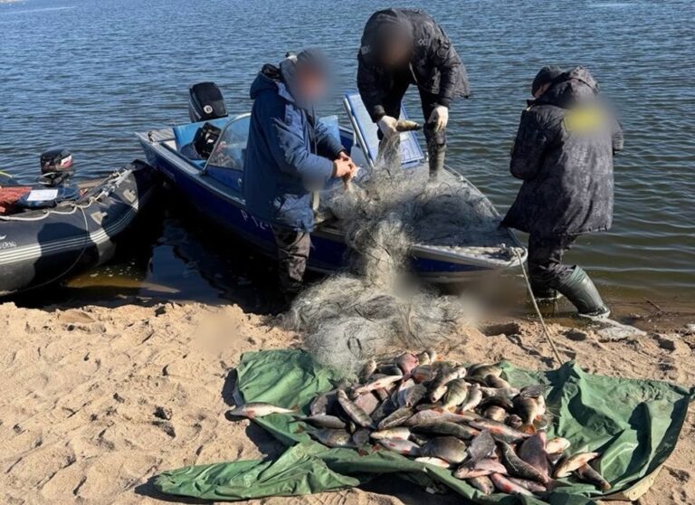 Браконьер на&nbsp;моторной лодке выловил 112 рыб сетями в&nbsp;Калининградском заливе