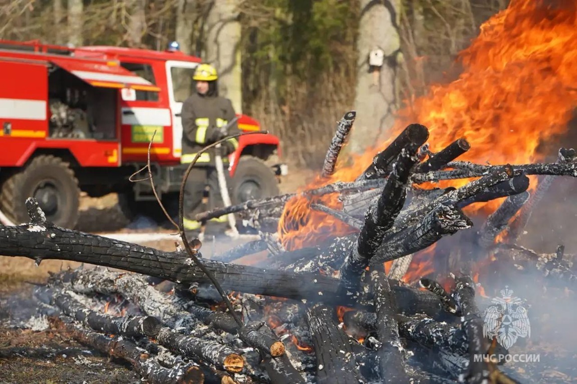С&nbsp;15 апреля по&nbsp;31 мая в&nbsp;Калининградской области вводят особый противопожарный режим