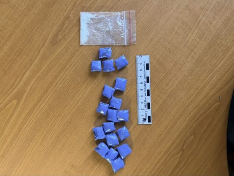 Транспортная полиция задержала калининградца с&nbsp;11 граммами a-PVP у&nbsp;железной дороги