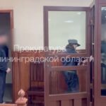 Троих жителей Калининградской области осудили на&nbsp;7 лет за&nbsp;поджог вышек сотовой связи