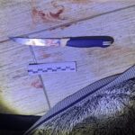 В&nbsp;Калининграде мужчина ударил жену ножом во&nbsp;время застолья