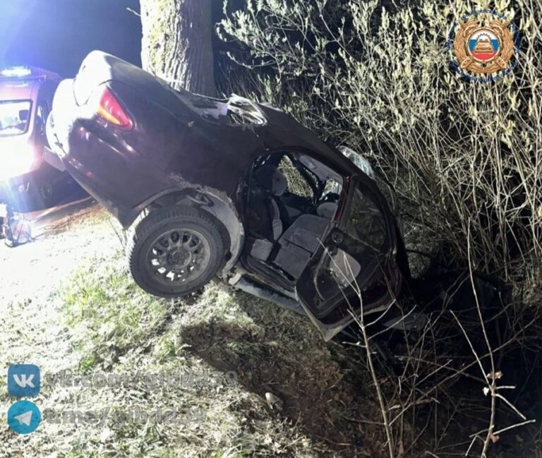 18-летний водитель разбил Mazda о&nbsp;дерево под Калининградом: погибли двое 20-летних пассажиров
