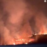 Более 570 палов травы на&nbsp;тысяче гектаров: губернатор призвал калининградцев не жечь сухостой