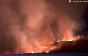 Более 570 палов травы на&nbsp;тысяче гектаров: губернатор призвал калининградцев не жечь сухостой