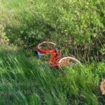 В&nbsp;Калининграде пьяный водитель сбил 61-летнюю велосипедистку и&nbsp;скрылся &mdash; дело возбуждено