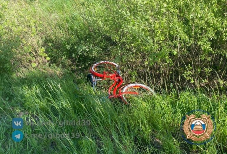В&nbsp;Калининграде пьяный водитель сбил 61-летнюю велосипедистку и&nbsp;скрылся &mdash; дело возбуждено