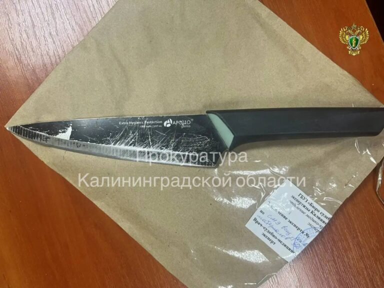 В&nbsp;Советске мужчина зарезал случайную знакомую, заподозрив её в&nbsp;краже
