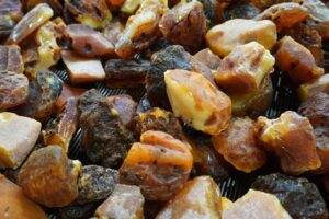 Янтарный комбинат отгрузил переработчикам первую партию сырья по&nbsp;льготному контракту