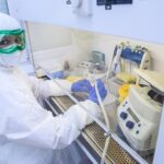 Академик Чумаков: вирусы из&nbsp;вечной мерзлоты в&nbsp;основном безопасны для человека