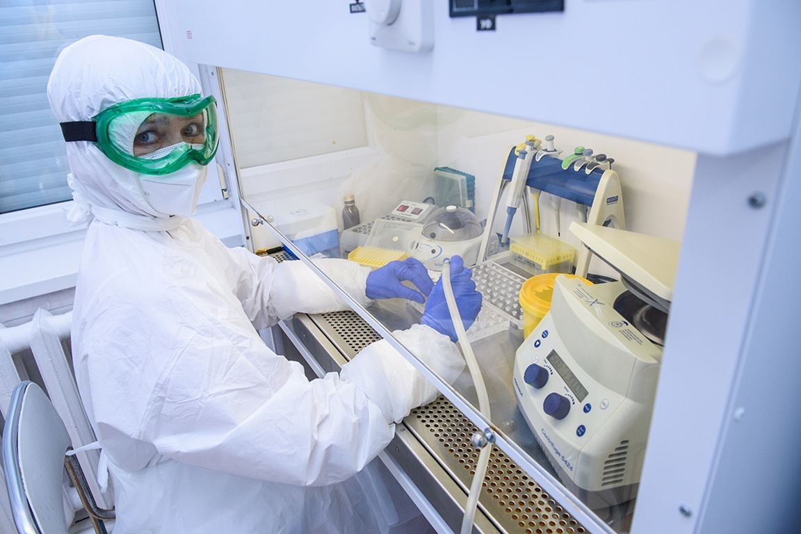 Академик Чумаков: вирусы из&nbsp;вечной мерзлоты в&nbsp;основном безопасны для человека