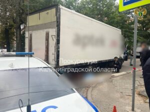 В&nbsp;Калининграде вступил в&nbsp;силу приговор водителю грузовика, сбившему 10-летнего мальчика на&nbsp;Коммунальной