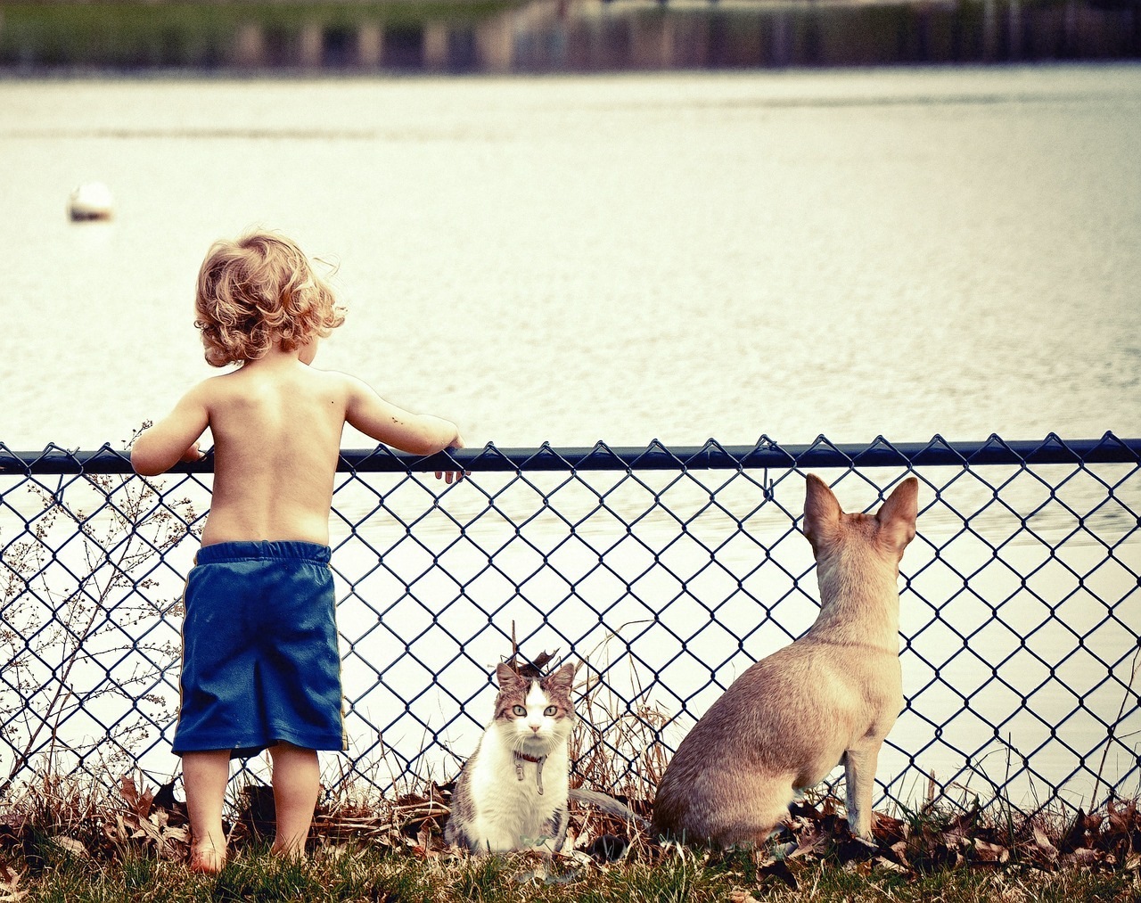Фото: pixabay.com