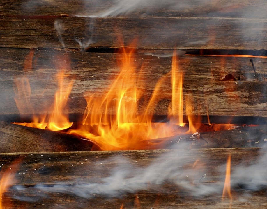 Фото: pixabay.com